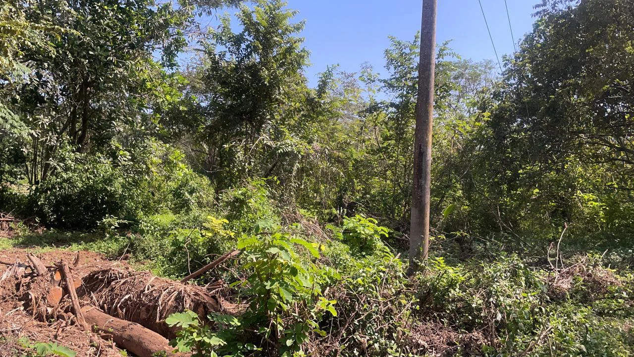 Private property for sale with a modern house and pool surrounded by the nature of Playa Samara – excellent investment opportunity - Gallery image 29
