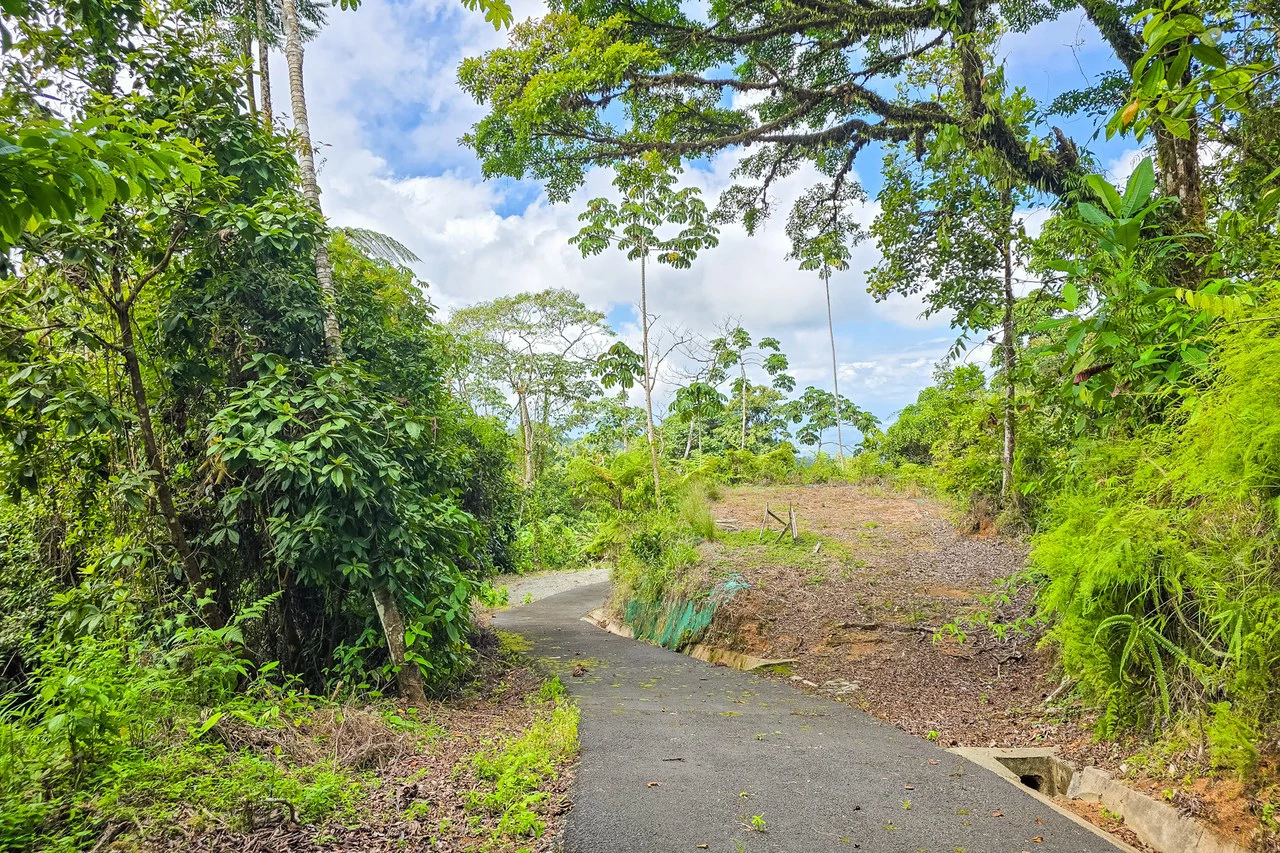 Near the Coast Home Construction Site For Sale in Ciudad Cortés - Gallery image 10