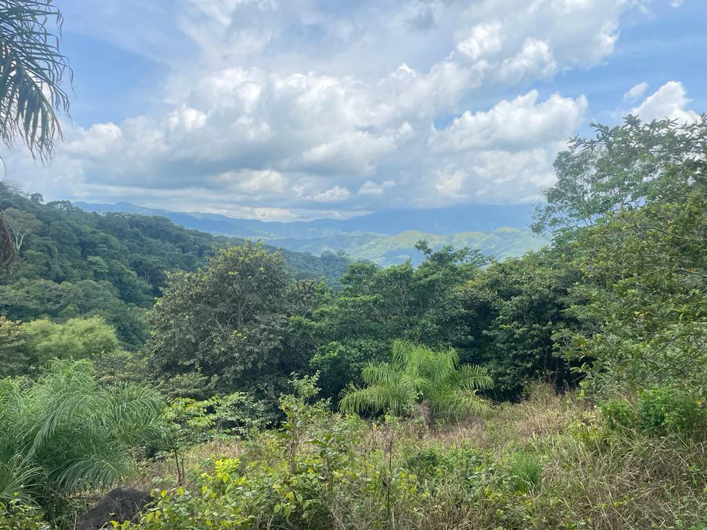 Lot for sale in Residential Vista Mar ocean and mountains view between San Mateo and Orotina Alajuela Costa Rica