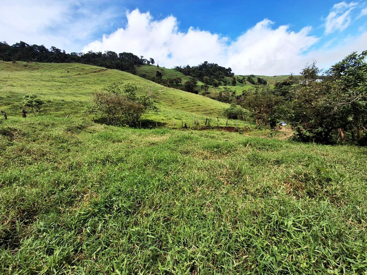 INVESTOR & DEVELOPER ALERT: High-Visibility Investment Property in the Heart of Tourist-Friendly Zarcero - Gallery image 11