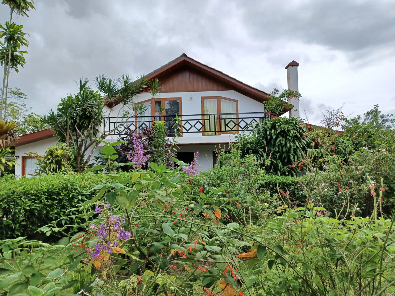 Magnificent 65-acre (26-hectare) estate, featuring a canopy tour, two homes, horses, walking trails, and 14 build-ready platforms. - Gallery image 13