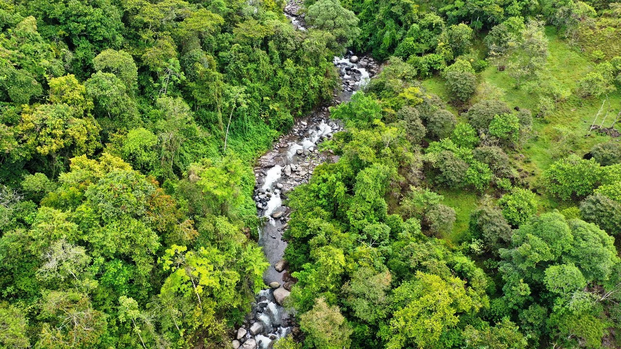 45 Acre Premier Riverfront Ranch in Santa Teresa Pérez Zeledón - Gallery image 10