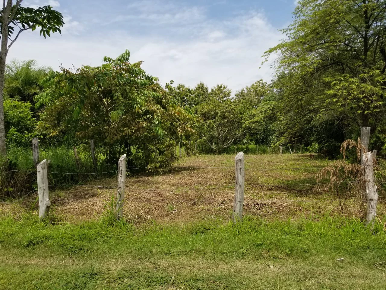 Amazing lot located near Paquera downtown. Now Available!