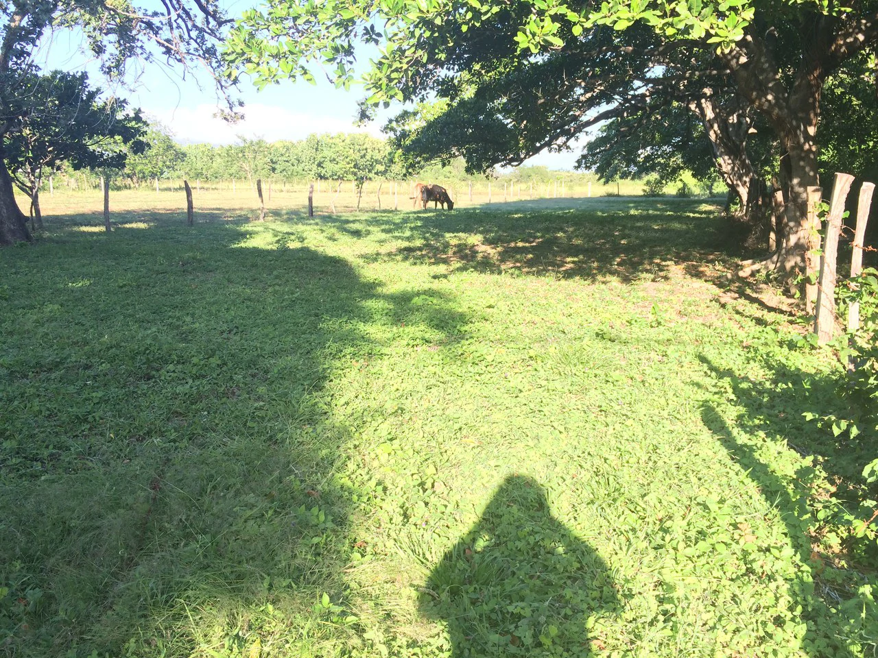 Precioso lote en Barrio La Cruz, Liberia: Building Lot for Sale in La Cruz – Flat Land Surrounded by Nature in a Peaceful Neighborhood - Gallery image 3