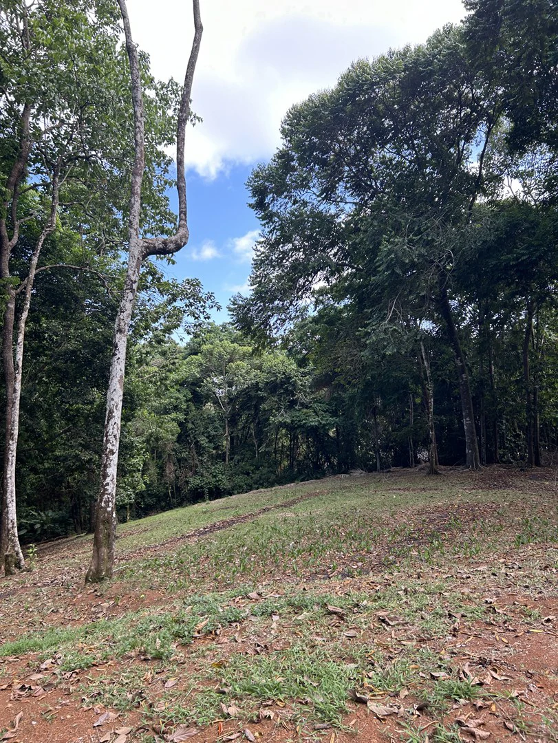 Cabo Matapalo: Jungle View Lot Priced To Sell! - Gallery image 29