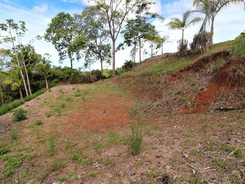 Captivating 3.15-Acre Property: Huge Pricedrop! Firesale Oceanview Lot in Tres Rios - Gallery image 32