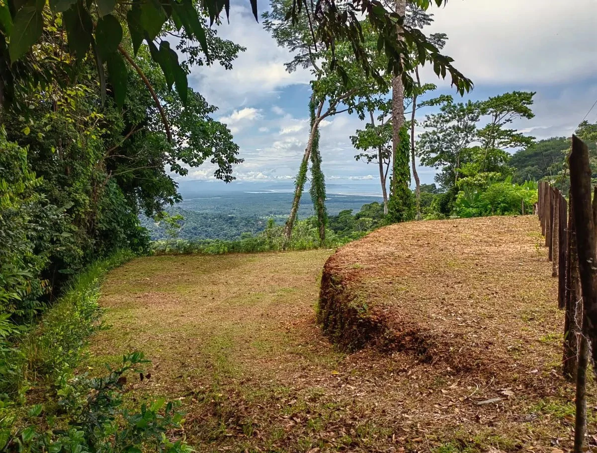 0.46 ACRES – Ocean View Land Just 4 Minutes Away From El Pavon Waterfall, Legal Water And Electricity Available & Ready To Build Site!!!: Mountain and Countryside Home Construction Site For Sale in Tr - Gallery image 12