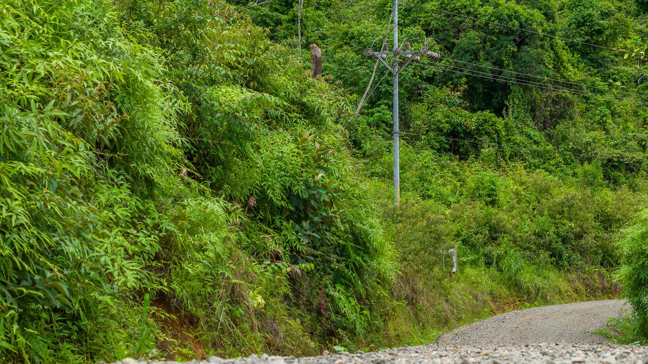 Costa Rican Gem with Conservation Potential: Preserve 26 Acres of Pristine Land - Gallery image 26