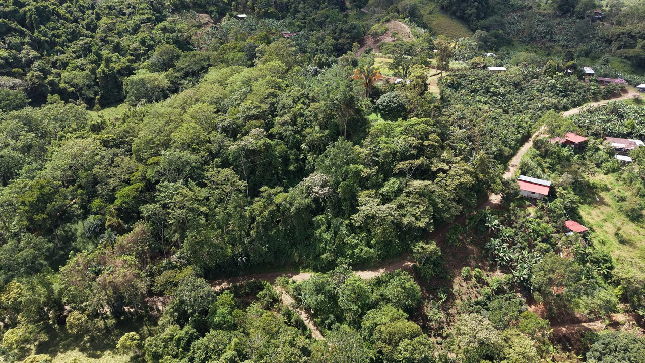 Mountain Home Construction Site For Sale in San Isidro del General