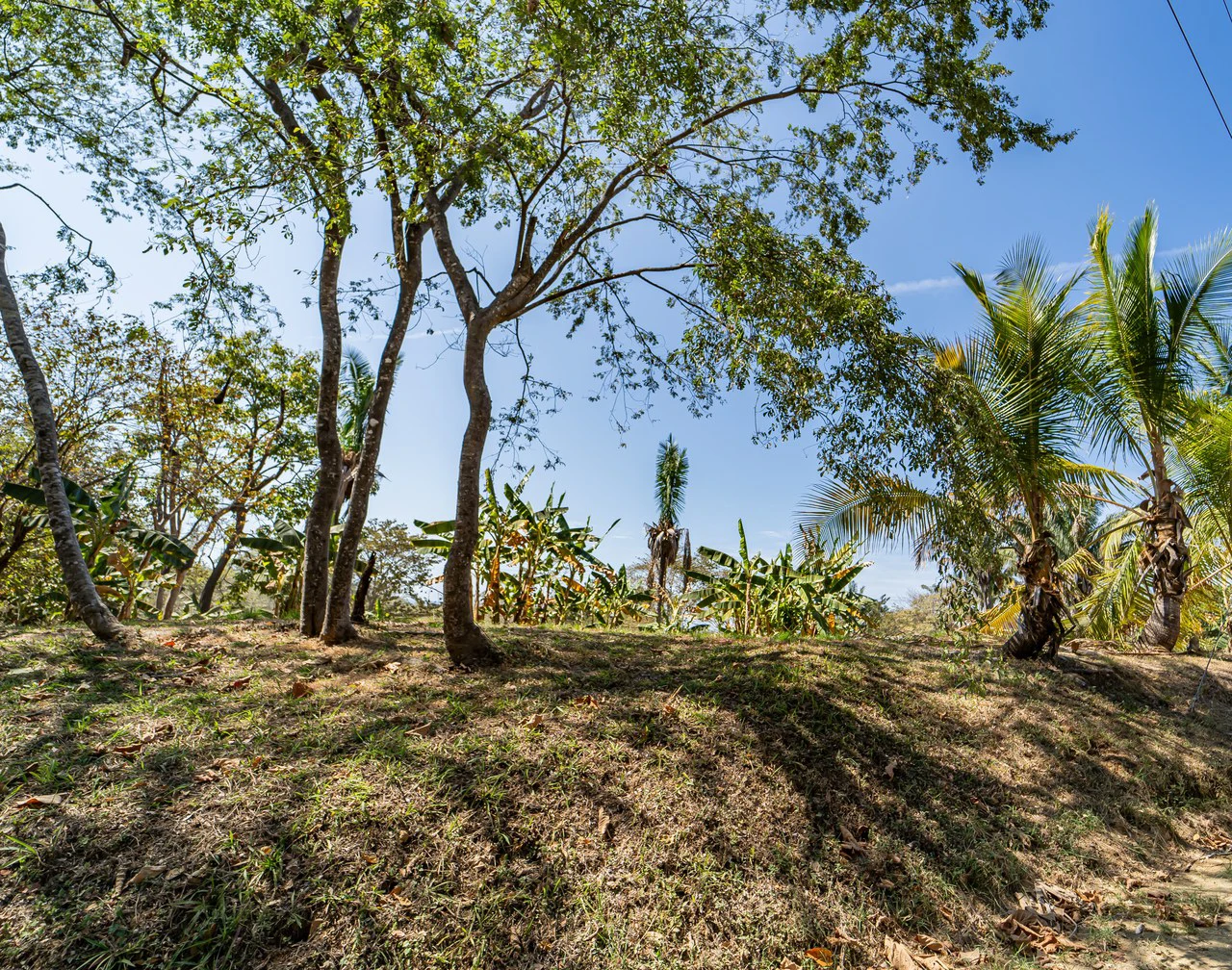 Lote Camaronal Natural: Half Acre Lot Just Mins to the Surf - Gallery image 3