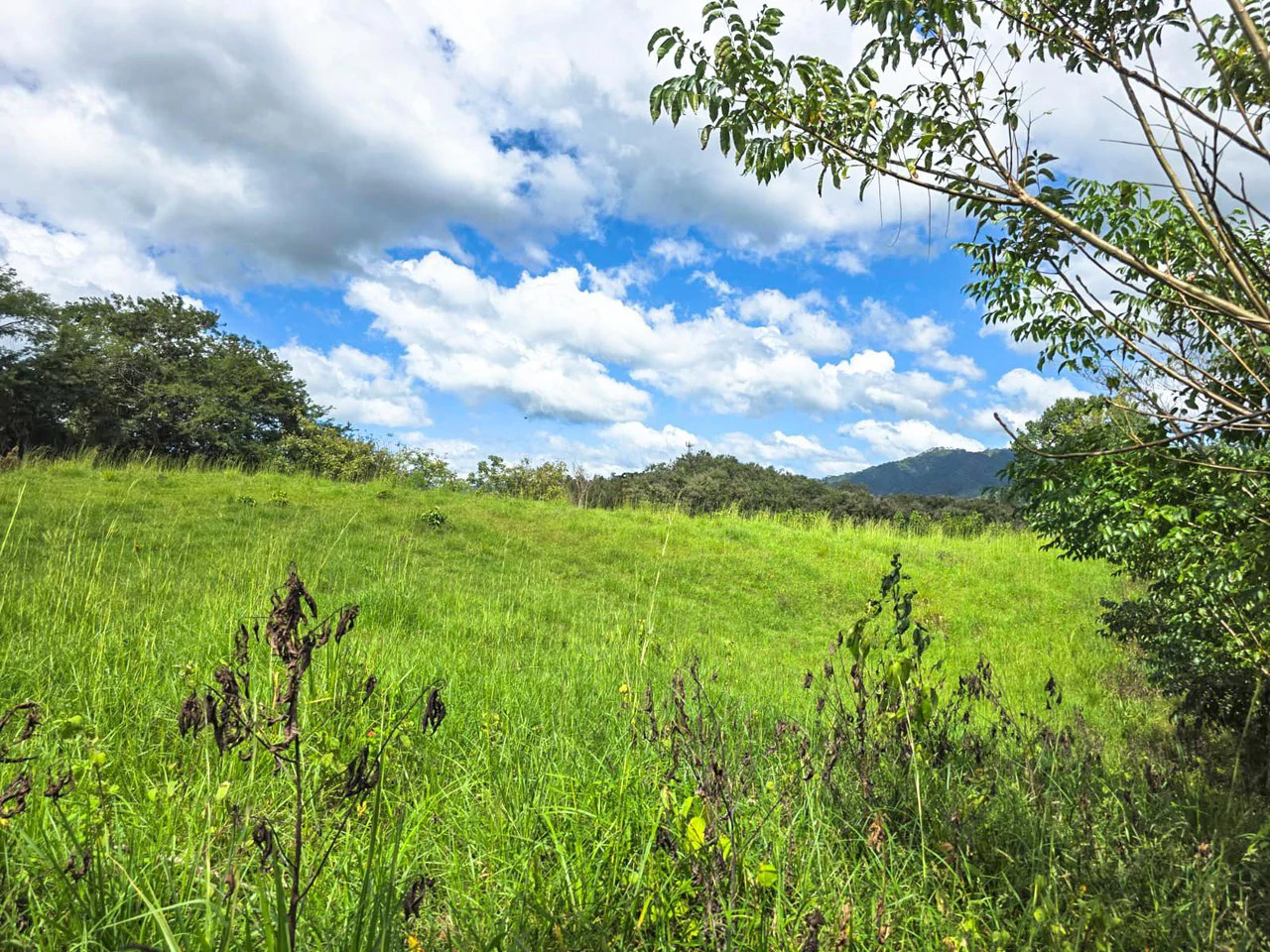 35 Acre Finca - A Natures Lover Or Developers Dream With Stunning Views - photo 5