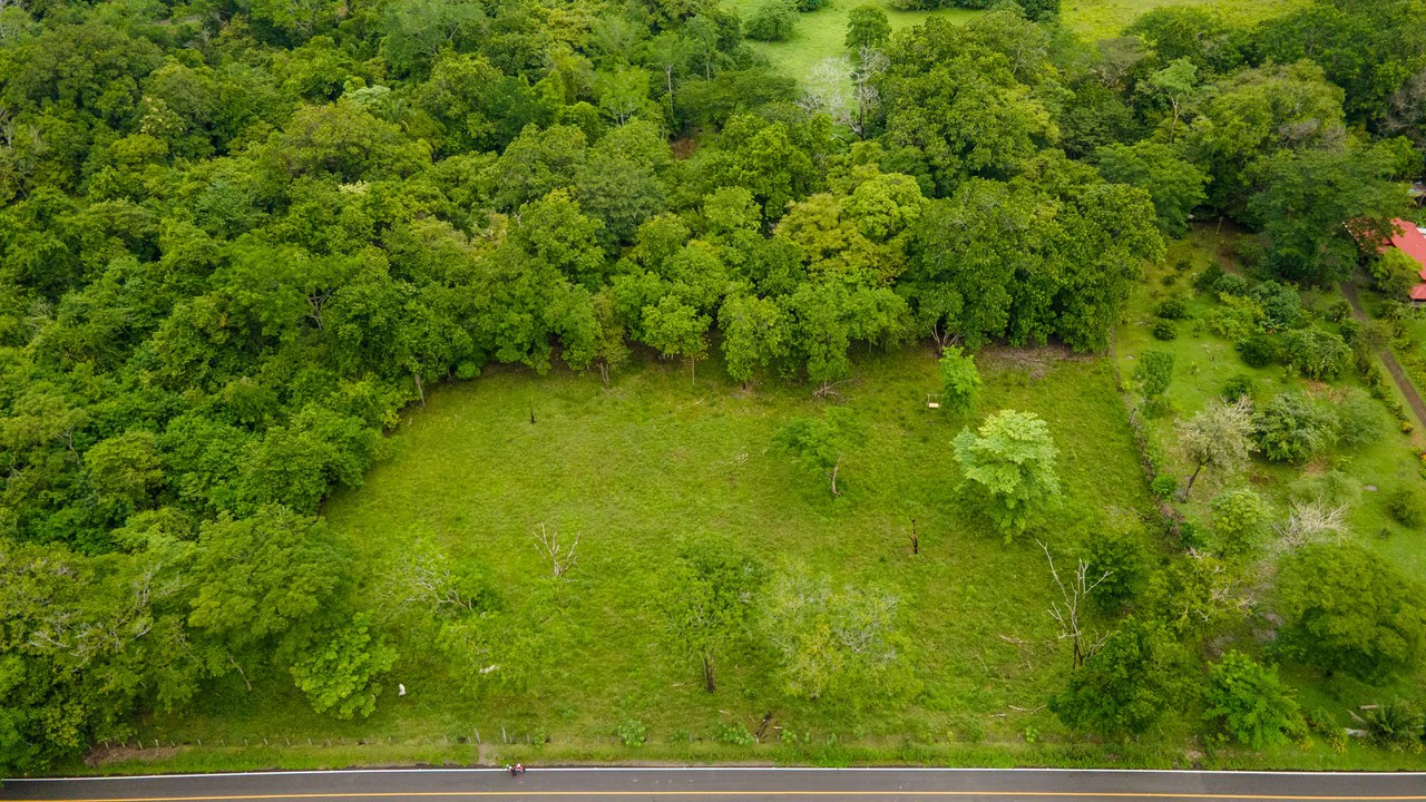 Exceptional Nearly 3-Hectare Property in Pueblo Nuevo, Bejuco, Guanacaste - Gallery image 6