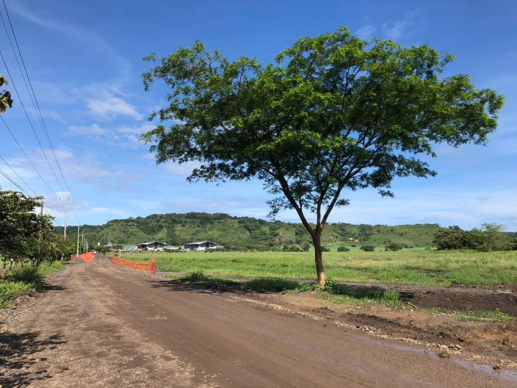 Commercial property in Carrillo, near the Chorotega Regional Market - Gallery image 8