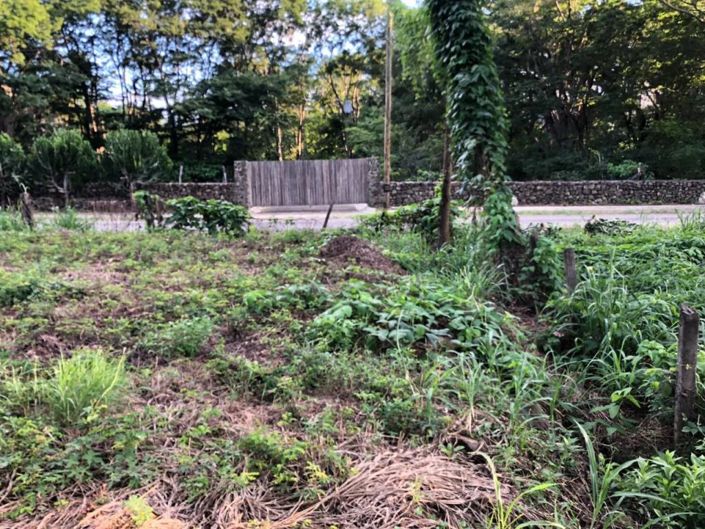 Large Commercial Property in Playa Hermosa, Guanacaste, Costa Rica - Gallery image 12
