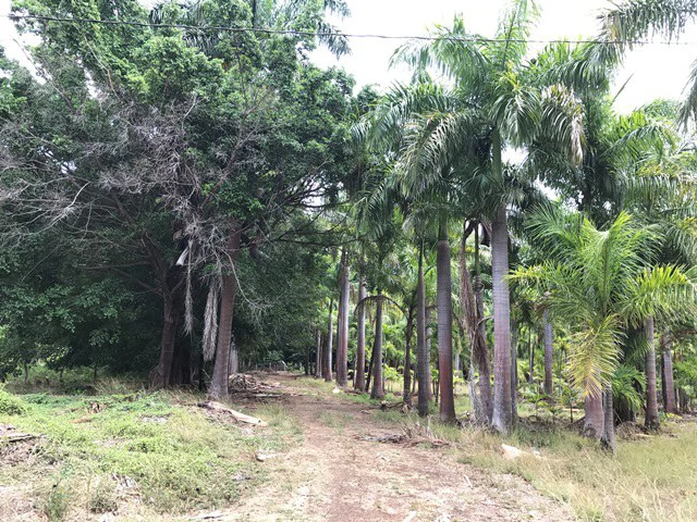 Great property in Santa Cruz: Excellent opportunity to develop in excellent location - Gallery image 18