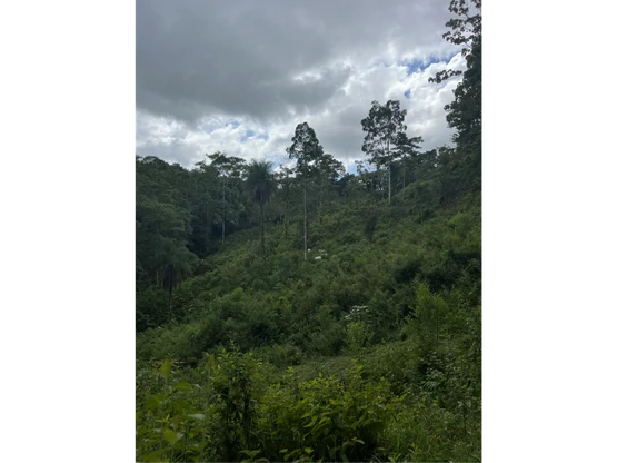 SPECTACULAR ECOLOGICAL MOUNTAIN FARM IN BIJAGUAL DE TURRUBARES - Gallery image 17