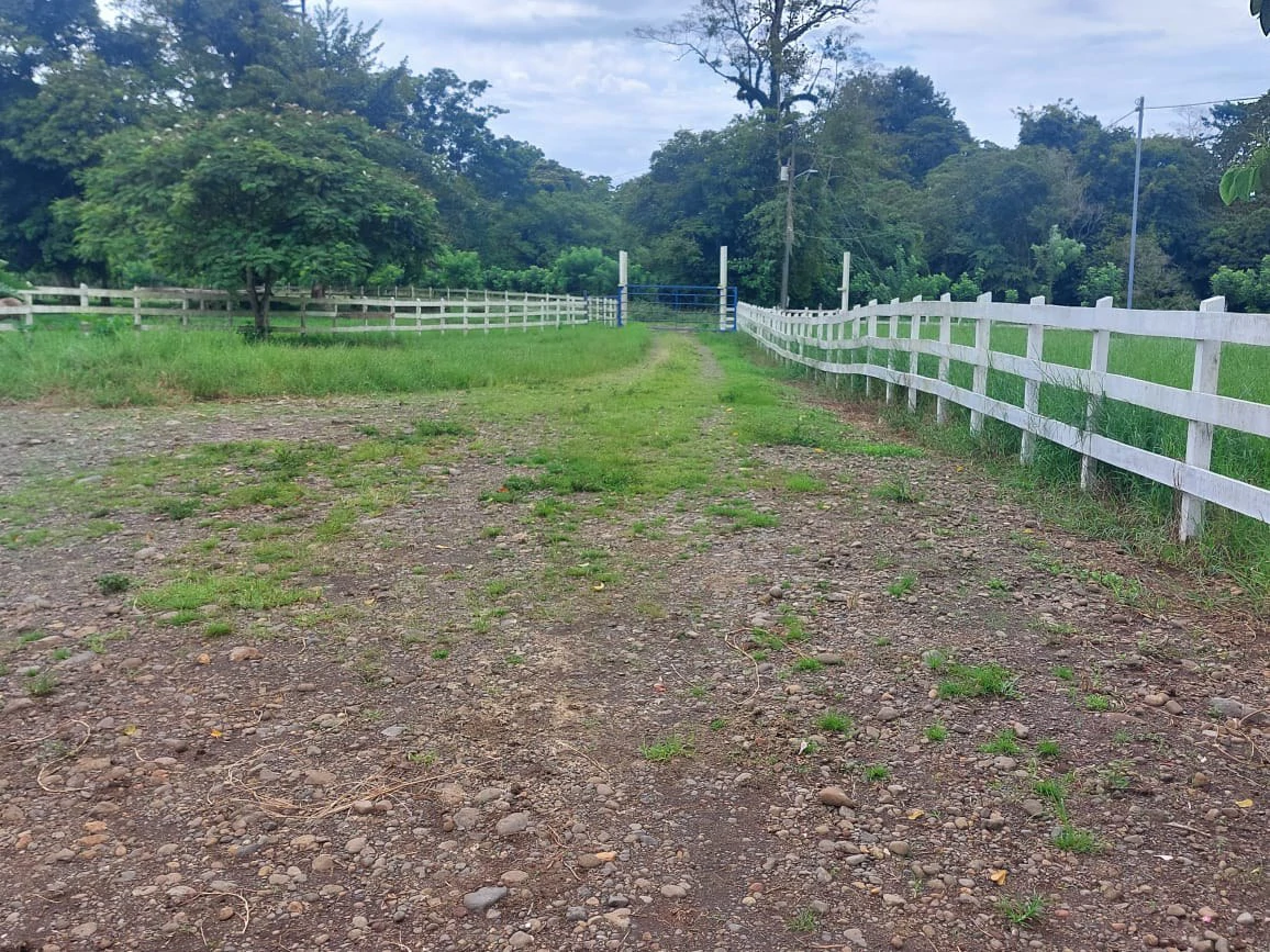 Spectacular Working Cattle Ranch, Guácimo, Limón, Costa Rica 80 ha / 197.6 Acres: Spectacular Working Cattle Ranch, Guácimo, Limón, Costa Rica 80 ha / 197.6 Acres