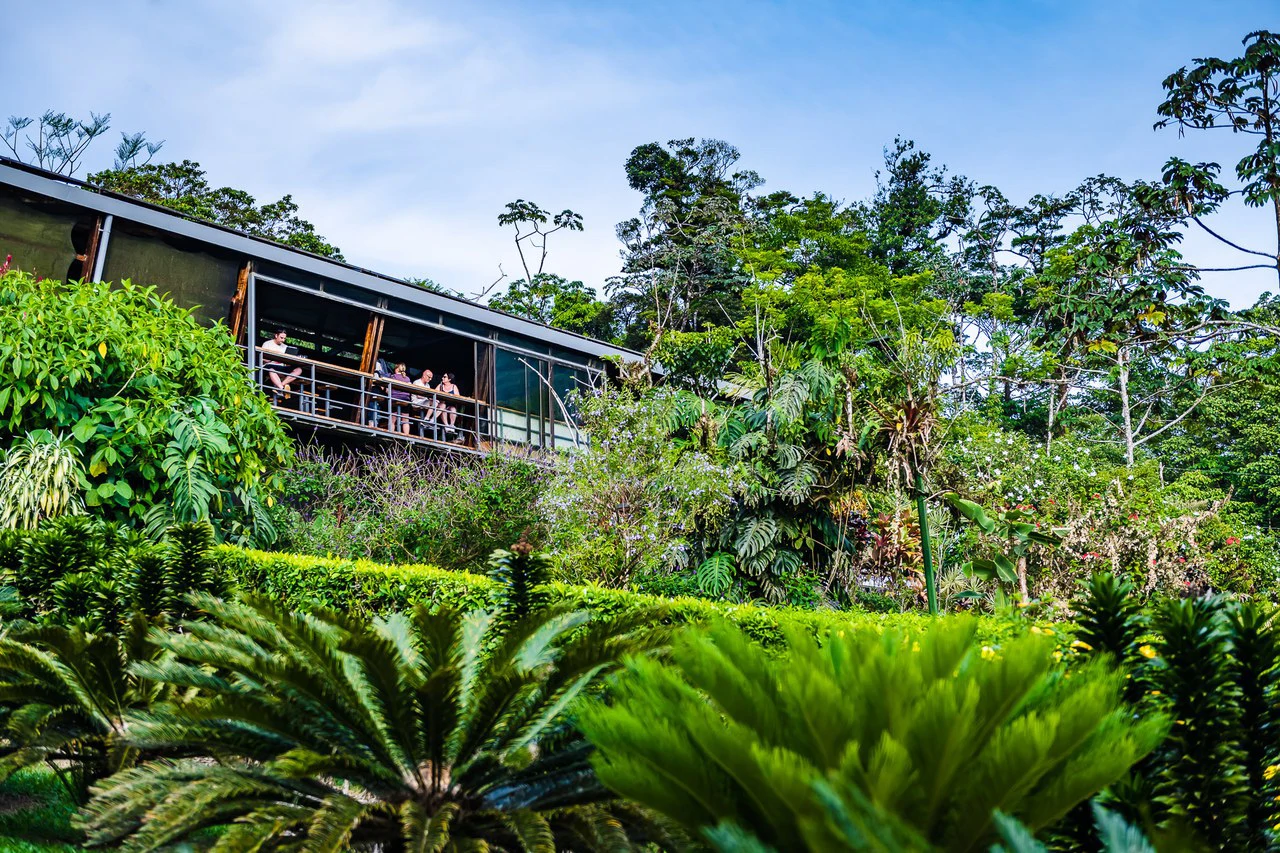 Celeste Mountain Lodge: Mountain Hotel/Resort/Hostel For Sale in Bijagua - Gallery image 73