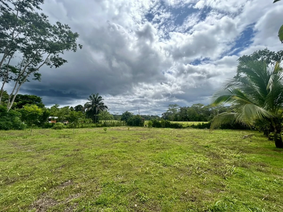 Large Building Lot Near Puerto Jiménez - Gallery image 8
