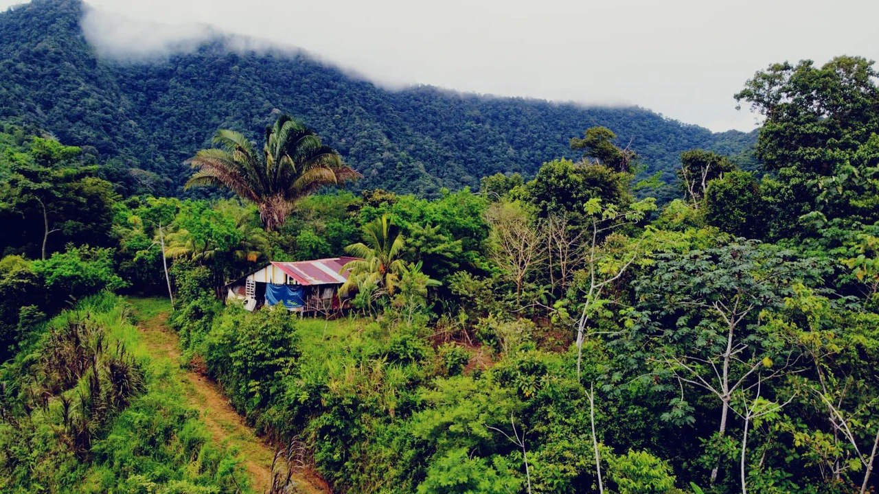 En venta, propiedad en Osa: Mountain Home Construction Site For Sale in Ciudad Cortés - Gallery image 16