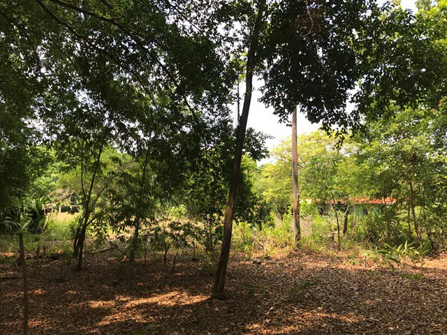 Great property in Santa Cruz: Excellent opportunity to develop in excellent location - Gallery image 12