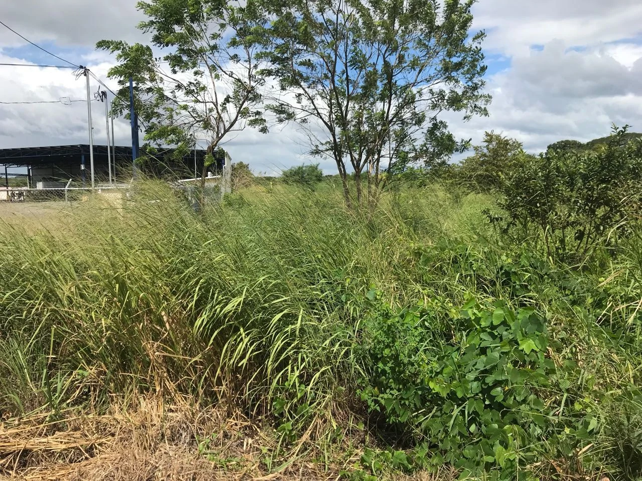 Property near Liberia and Discovery Park - Gallery image 7