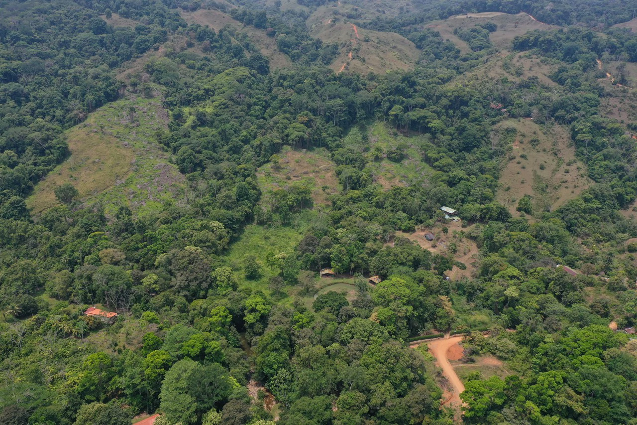 50 Acre Waterfall and River Paradise Above Dominical - Gallery image 50