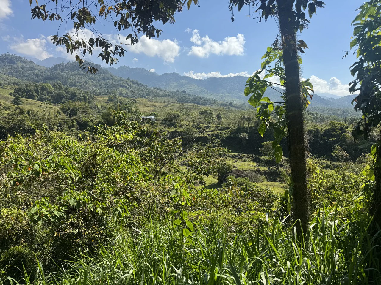 8 Acre Riverfront Sanctuary in San Pedrito Pérez Zeledón - Gallery image 6