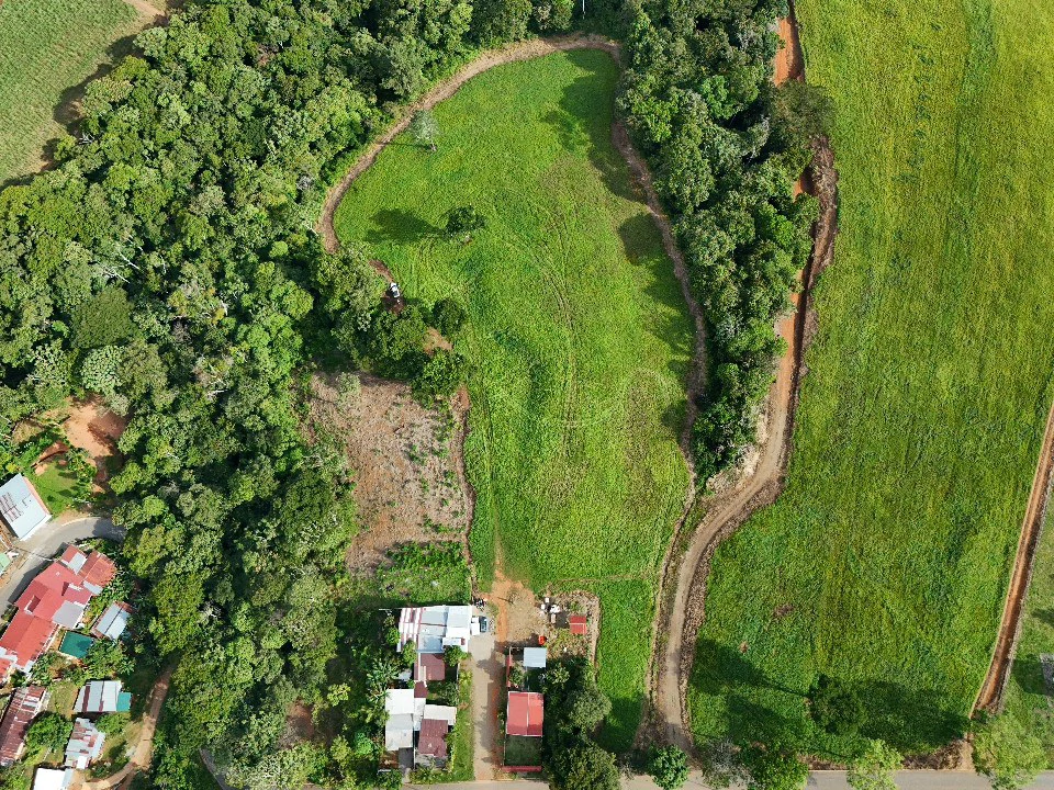 Agricultural Land For Sale in Entre Cocorí y Pavones - Gallery image 6