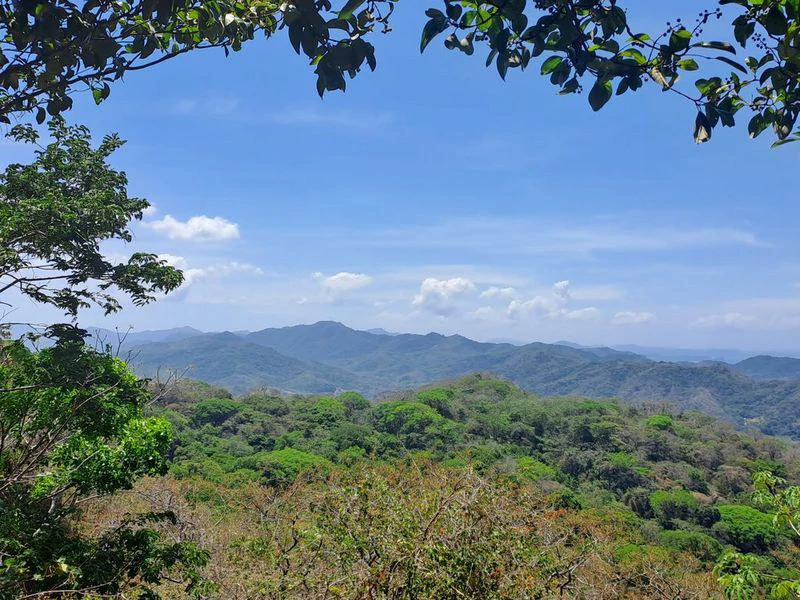 LOTE MIRAMAR: Stunning Ocean-View Parcel, Just Minutes from Carillo Beach - Gallery image 4