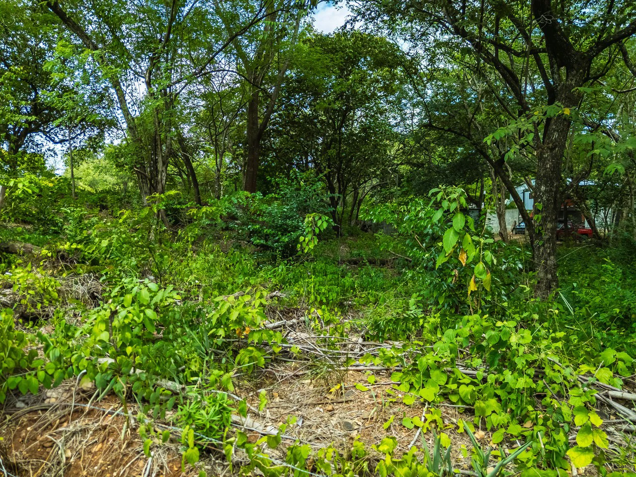 Los Jobos Lot: 1,146 m² Lot Just Minutes from Tamarindo – Paved Road, Water & Electricity - photo 12