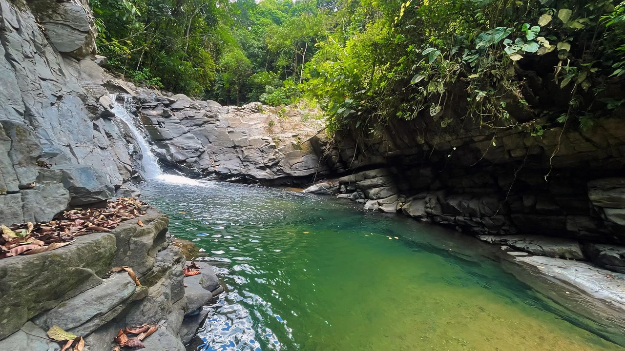 FINCA CERRO DEL TIGRE! OVER 20 ACRES OF PRIMARY FOREST AND WATERFALLS.: Mountain Agricultural Land For Sale in La Unión - Gallery image 22