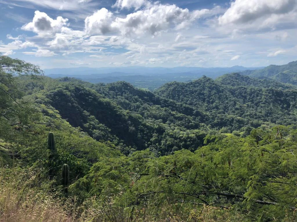 Ocean View Property with Panoramic Views on the Pacific Gold Coast – Guanacaste - Gallery image 9
