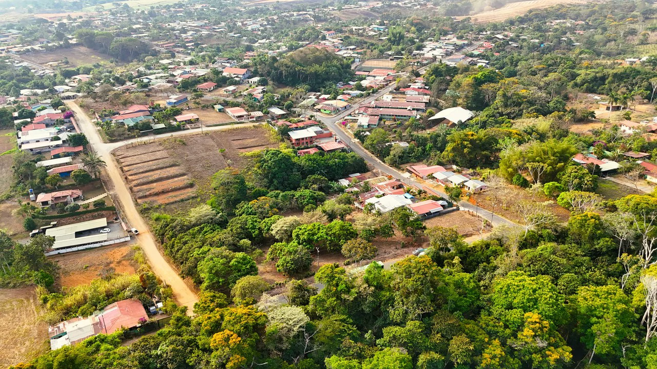 FRUIT TREE PROPERTY FOR SALE: Home Construction Site For Sale in San Isidro del General - Gallery image 5
