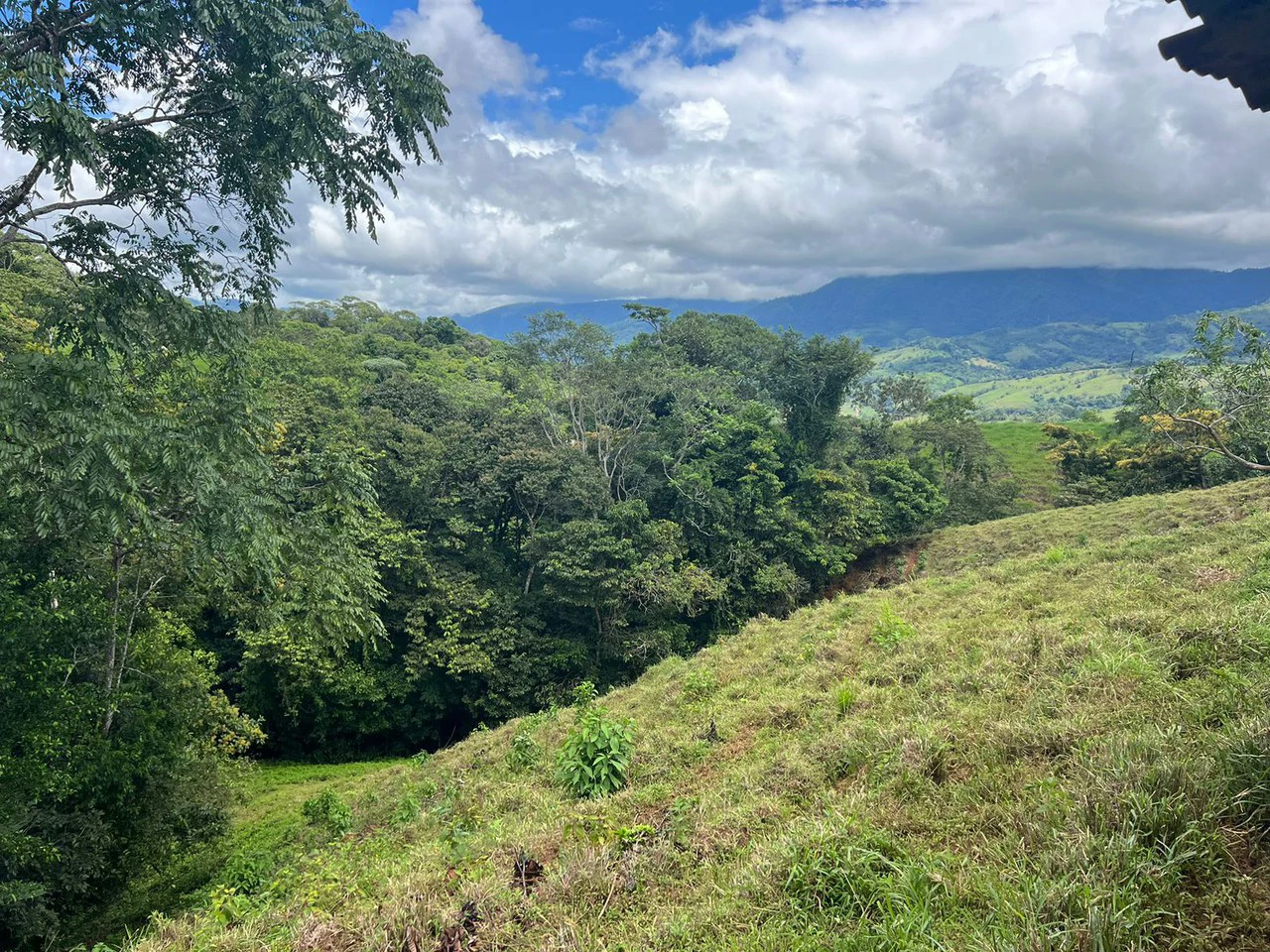 47 ACRES – Beautiful Mountain View Farm With Many Water Sources and Many Building Areas!!!! - Gallery image 16