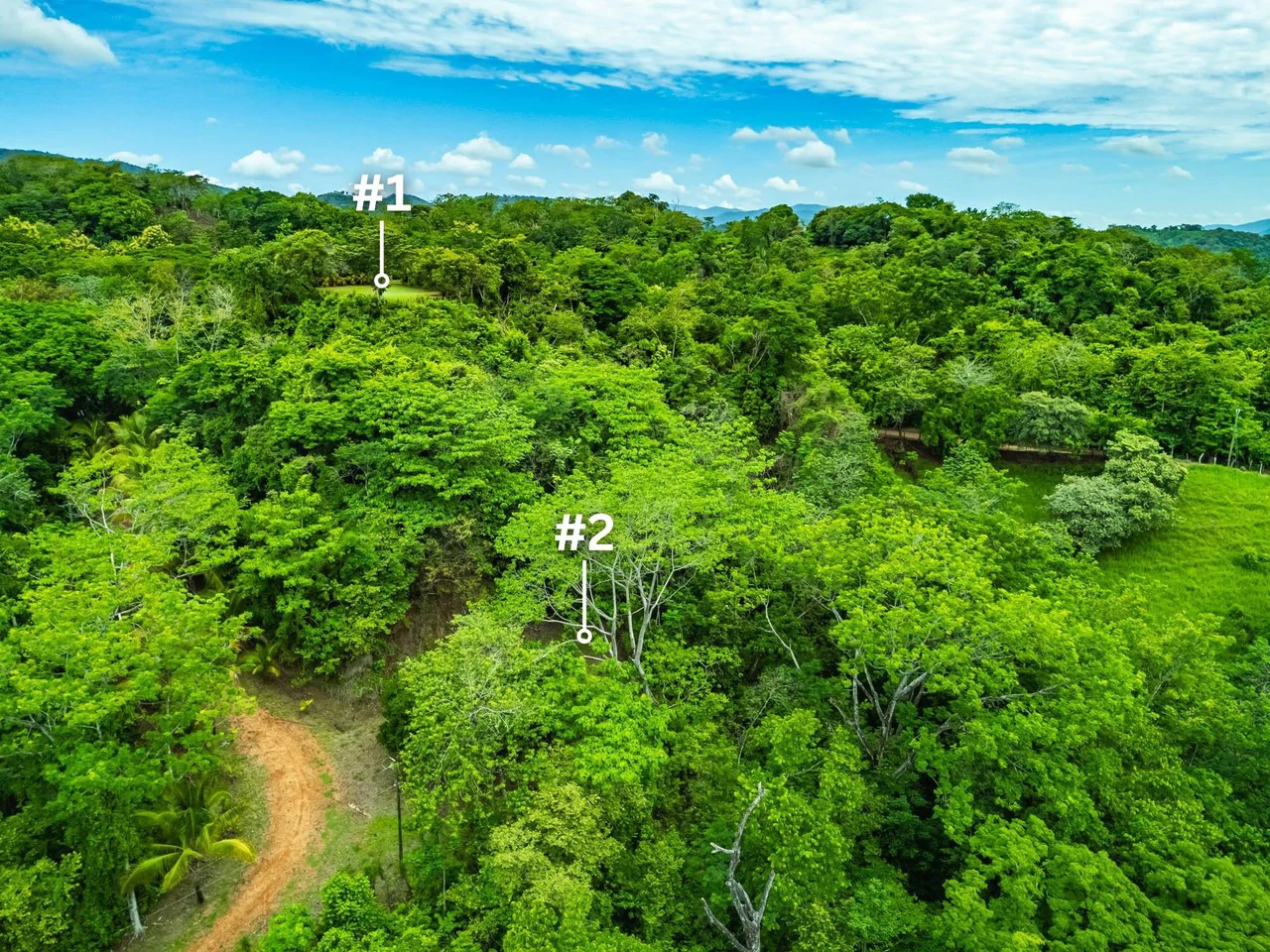 The Refuge: Ecological Lots in Hojancha Blue Zone - photo 6