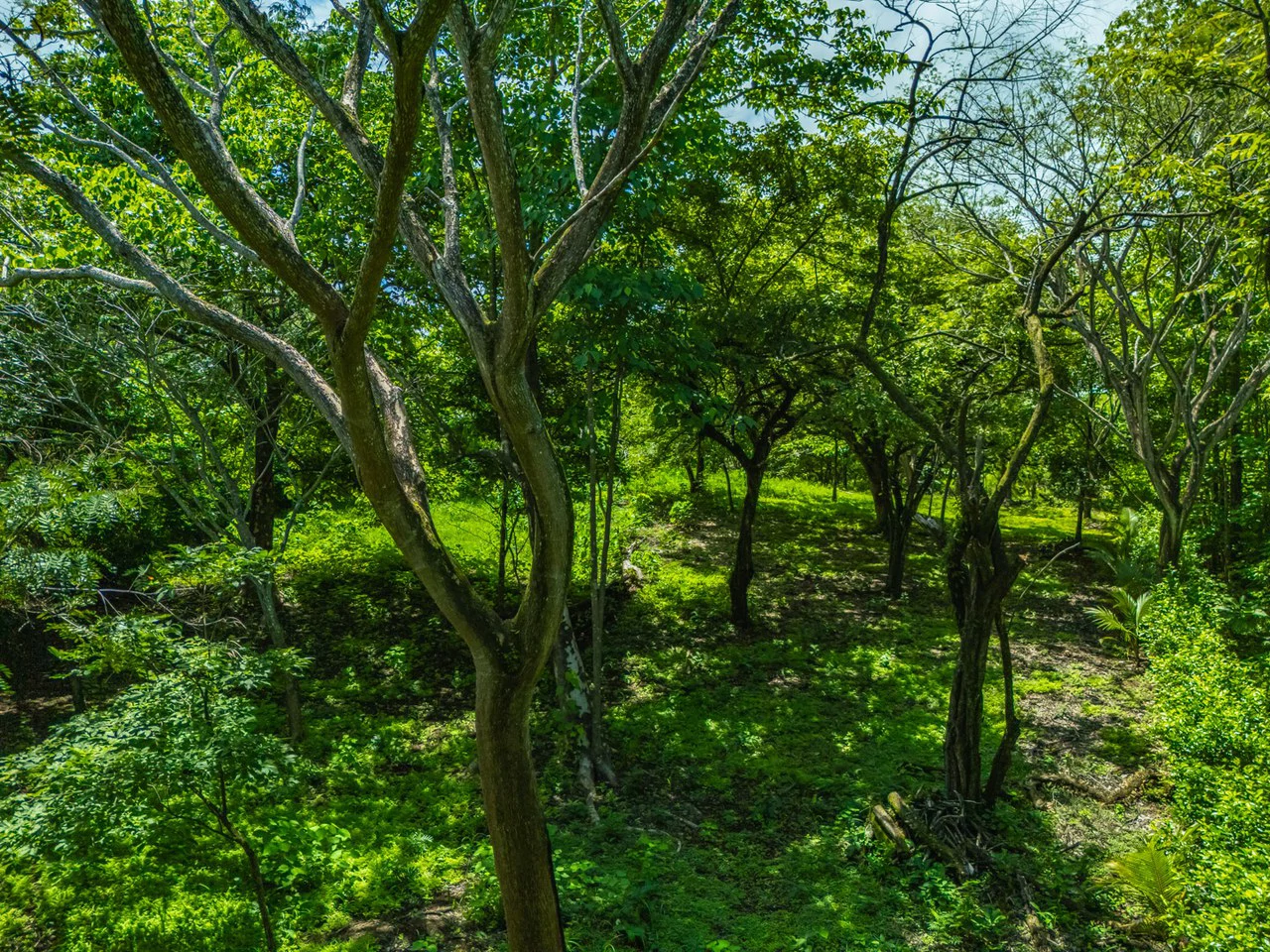 Tierra Pacifica #22: 1.5 Acre Homesite with Water Meter - Gallery image 14