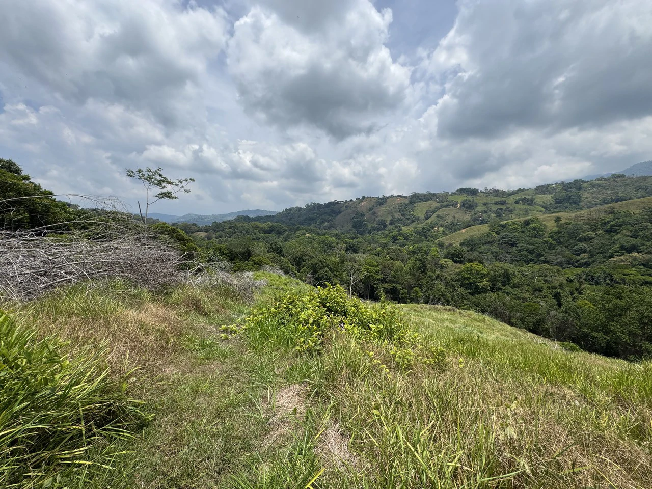 50 Acre Waterfall and River Paradise Above Dominical - Gallery image 60