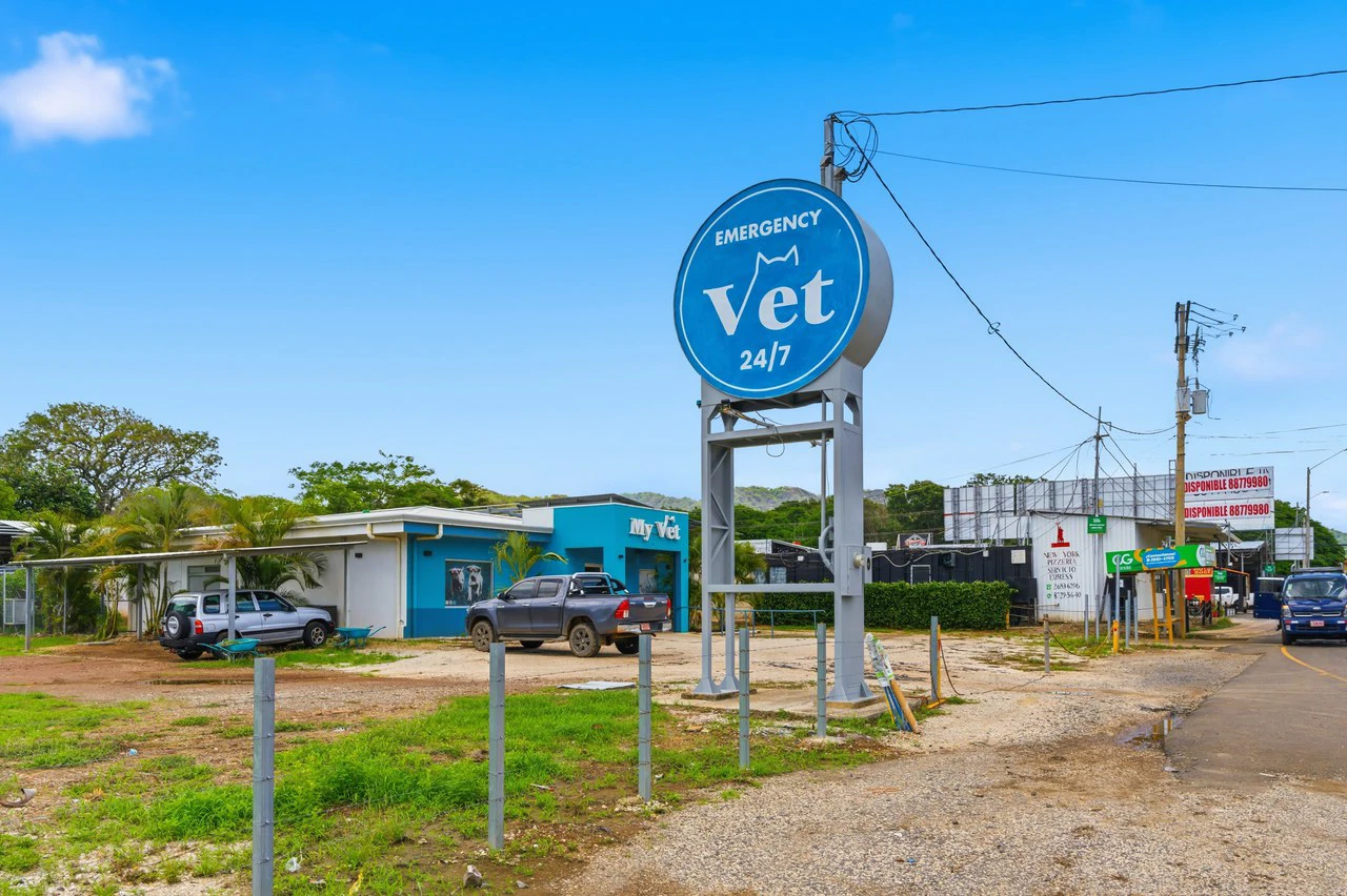 Vet Clinic: Prime Commercial Property & Veterinary Clinic For Sale - Gallery image 11