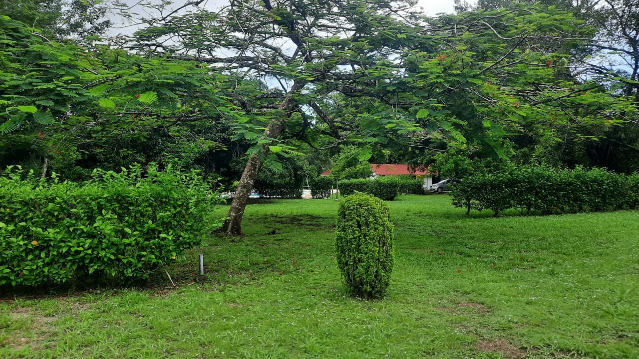 Agricultural Land For Sale in Jacó - Gallery image 3