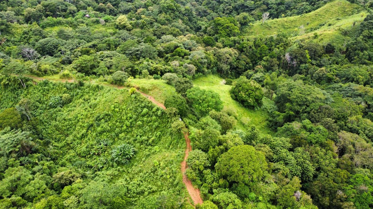 En venta, propiedad en Osa: Mountain Home Construction Site For Sale in Ciudad Cortés - Gallery image 5