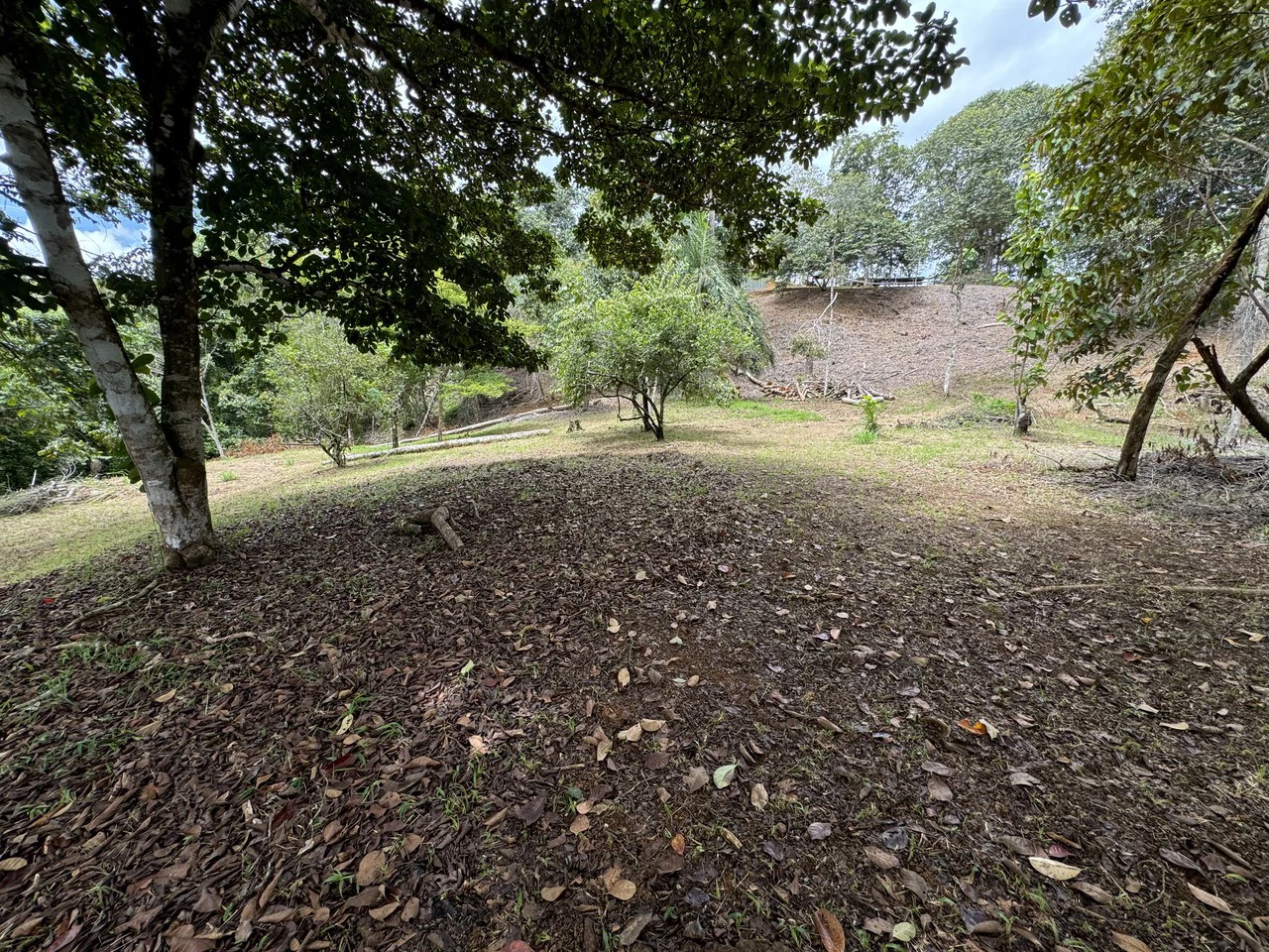 Diamante Waterfall View Land in Dominical 2.9 Acres - Gallery image 21