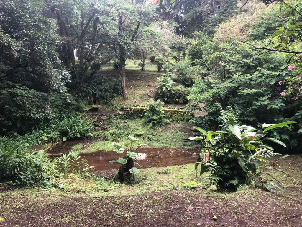 Horse ranch mountain farmland with its own stable's in San Rafael, Heredia - Gallery image 35