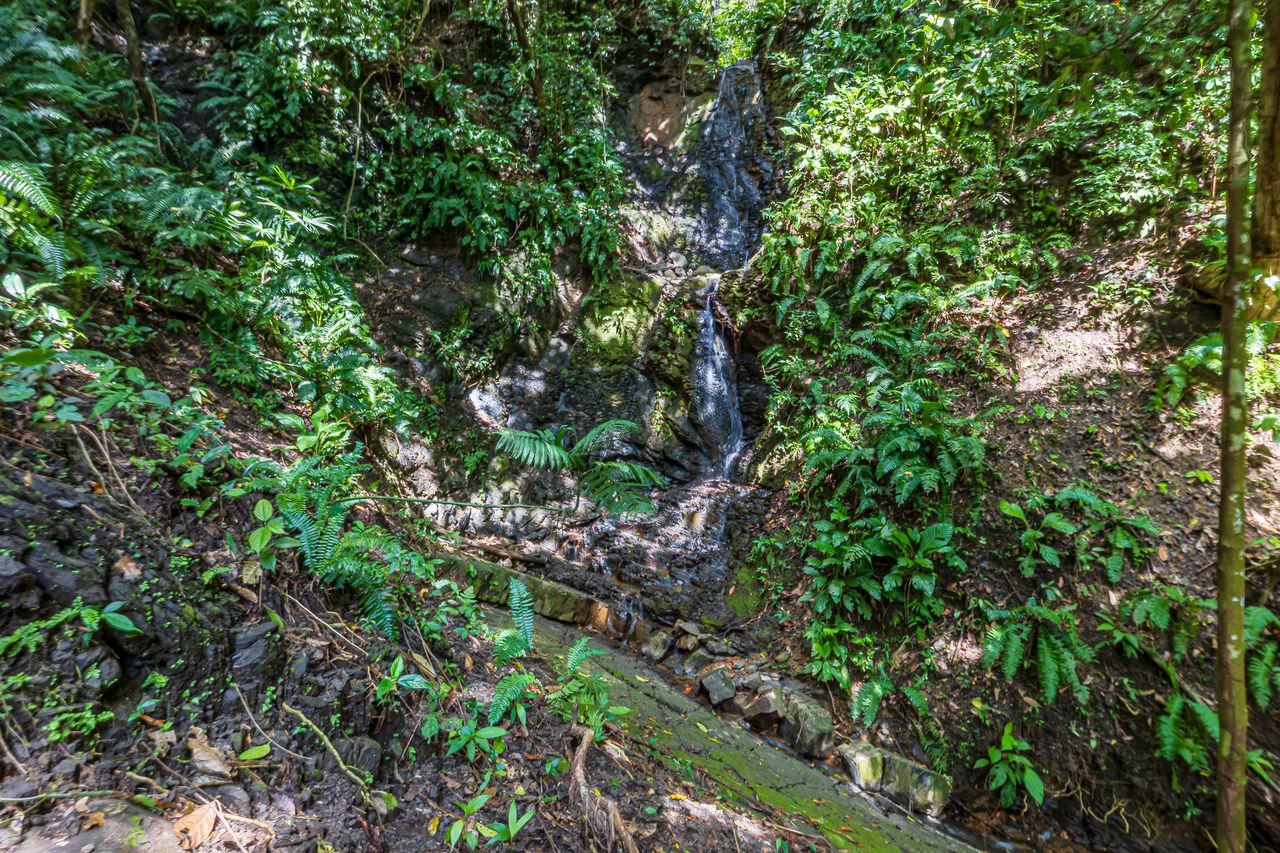 Rare 86-Acre Ocean View Estate Bordering Hacienda Barú – A Unique Opportunity for Conservation and Development - Gallery image 4