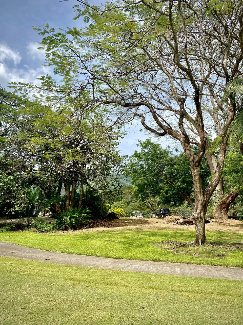 $340,000 USD Golf Garden Lot for Sale:  Build your dream home today! Gated Los Delfines Golf & Country Club Beachfront Village:  - 5 min walk to Swimming beach in Bahia Ballena on the Southern Nicoya  - Gallery image 8