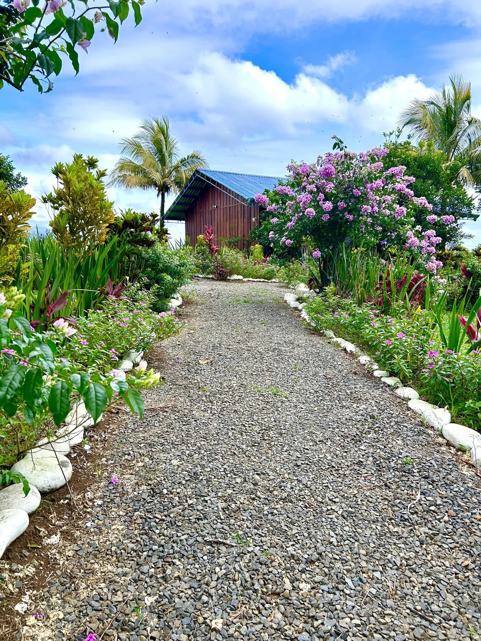Costa Rica Ecolodge Retreat: Spectacular Views Turnkey Ecolodge Mountain Retreat in the heart of Costa Rica - Gallery image 5