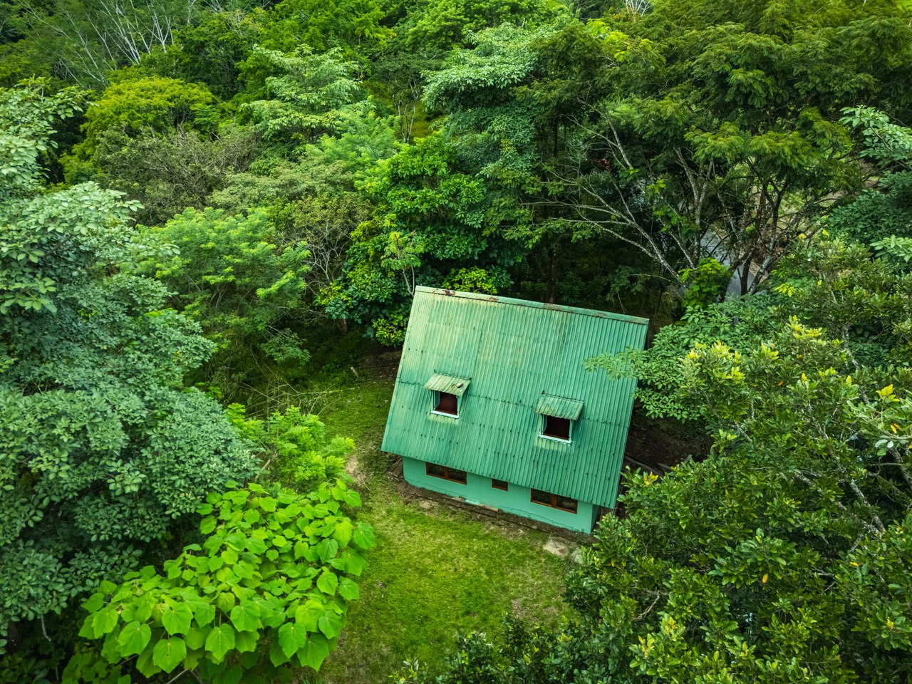 Casa Verde: Your Green Dream - Gallery image 15
