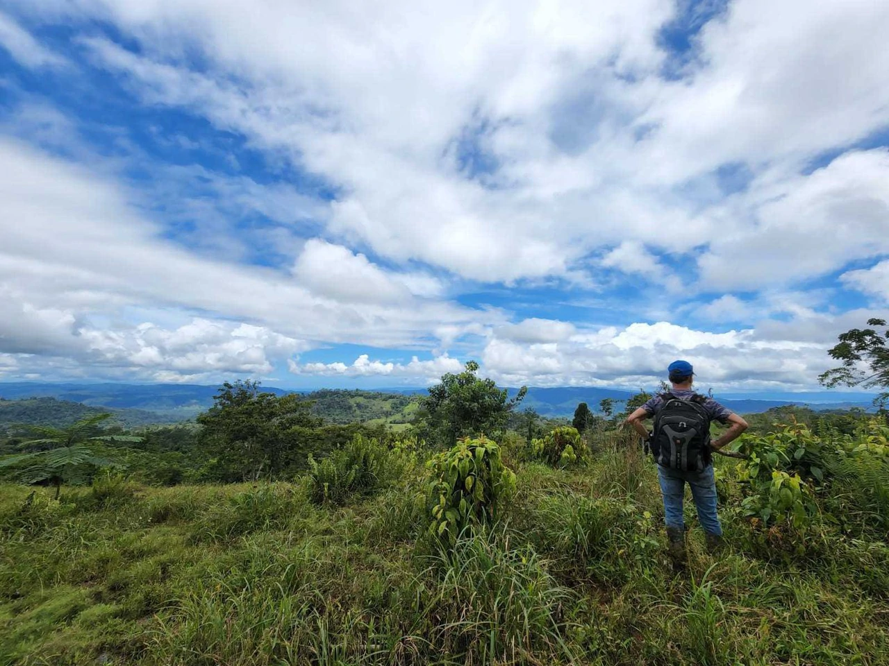 Fire Sale Farm with Ocean View | Piedras Blancas, Osa Peninsula - Gallery image 11