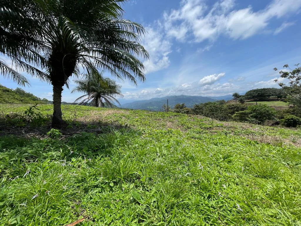 Mountain and ocean view lot for sale in residencial Vista Mar between San Mateo Orotina Alajuela - Gallery image 3