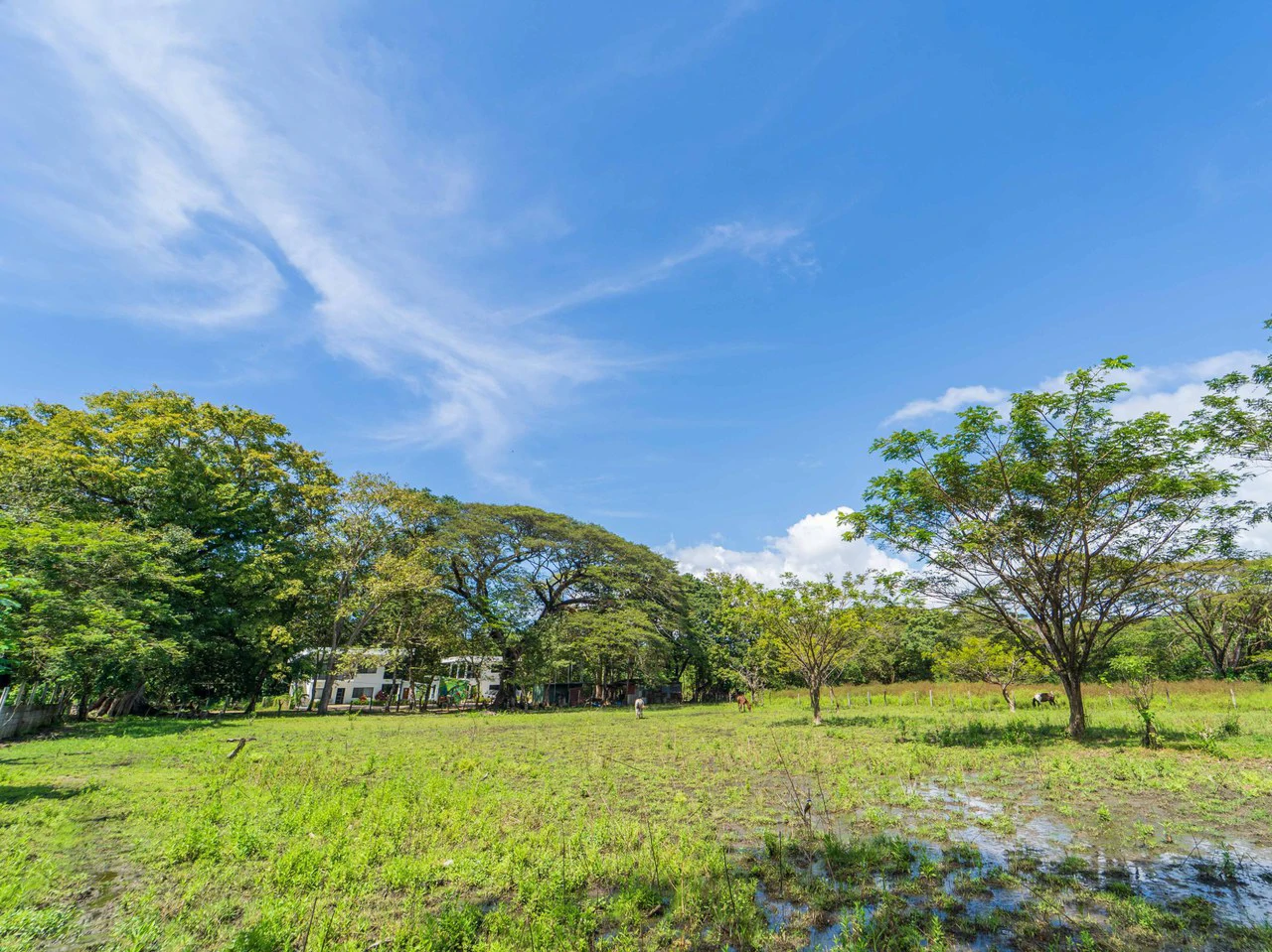 Campo del Sol Lot: 0.58 Acre Lot In Between 2 Beaches - Gallery image 3